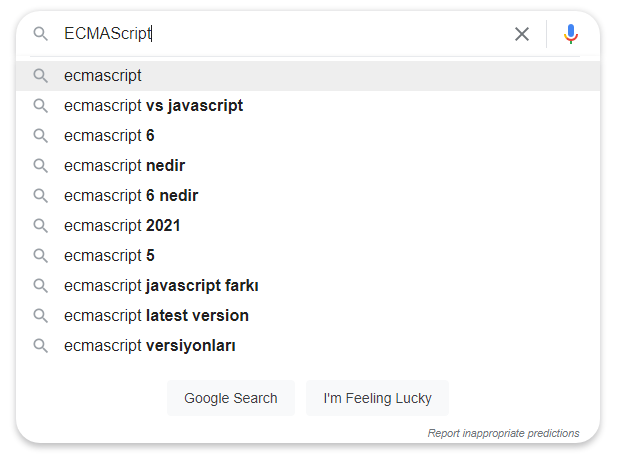 Google'da yapılan EcmaScript aramalarından örnekler.